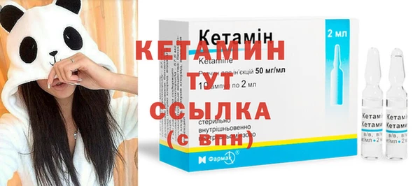 сатива Михайловка