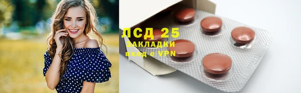 шишки Михайлов