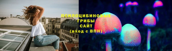 шишки Михайлов