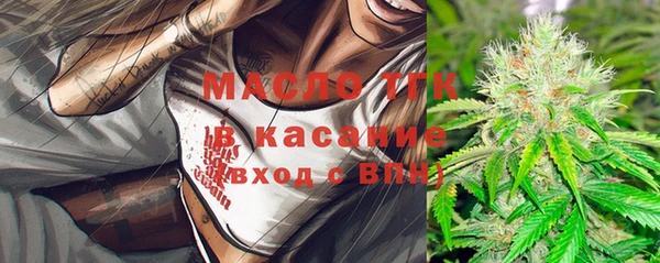сатива Михайловка