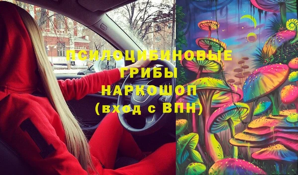 шишки Михайлов