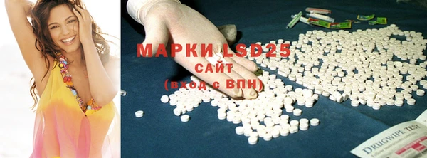 сатива Михайловка