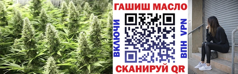 Купить где  Лакинск  ТГК THC oil 