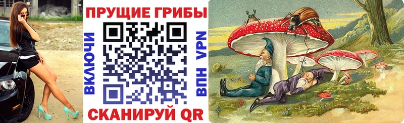 Галлюциногенные грибы Psilocybe  Купить где  Лакинск 
